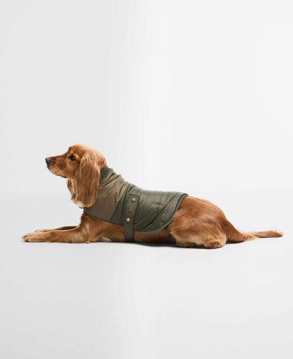 Barbour Baffle Quilt Dog Coat: Olive