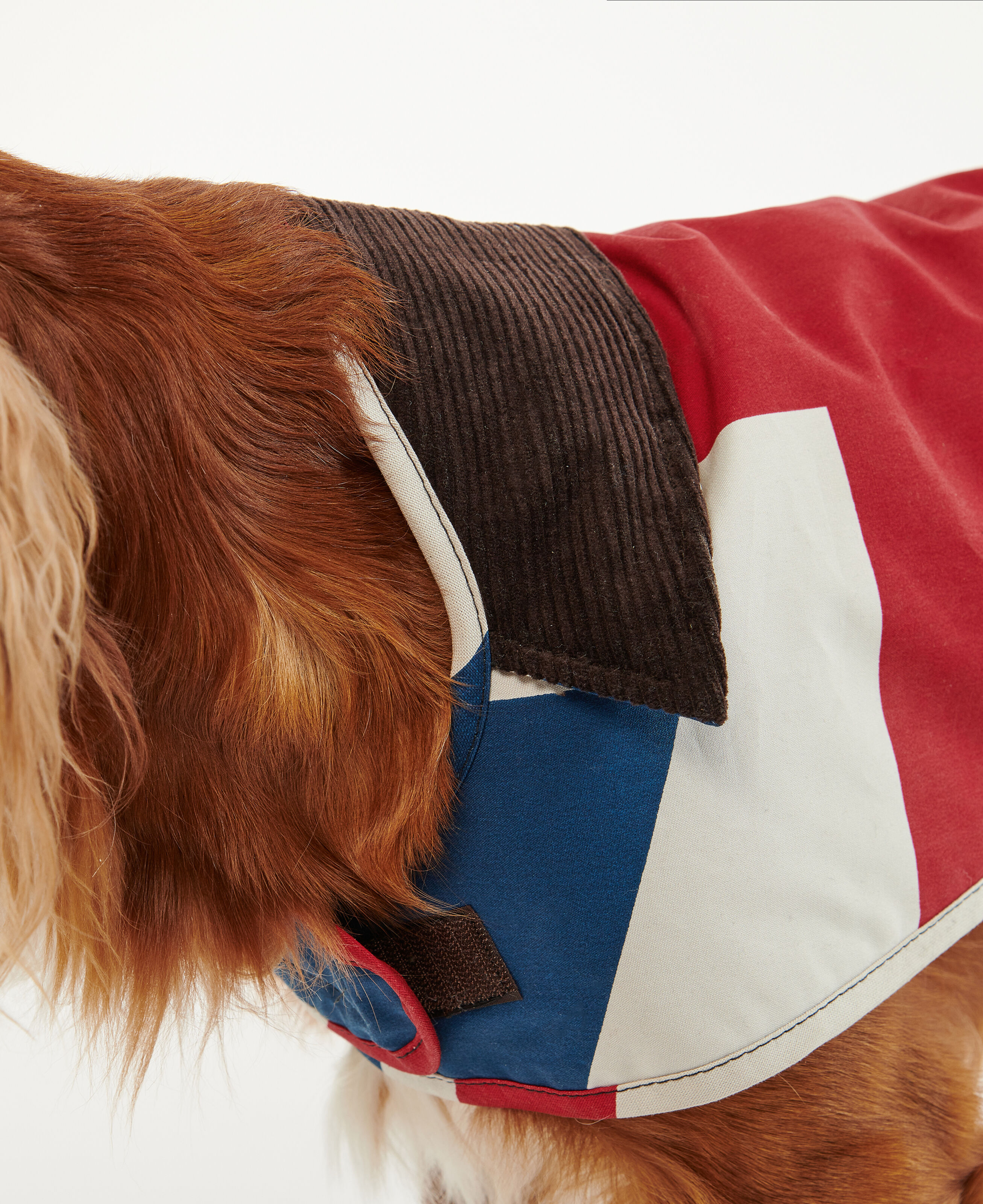 Union jack dog top jumper