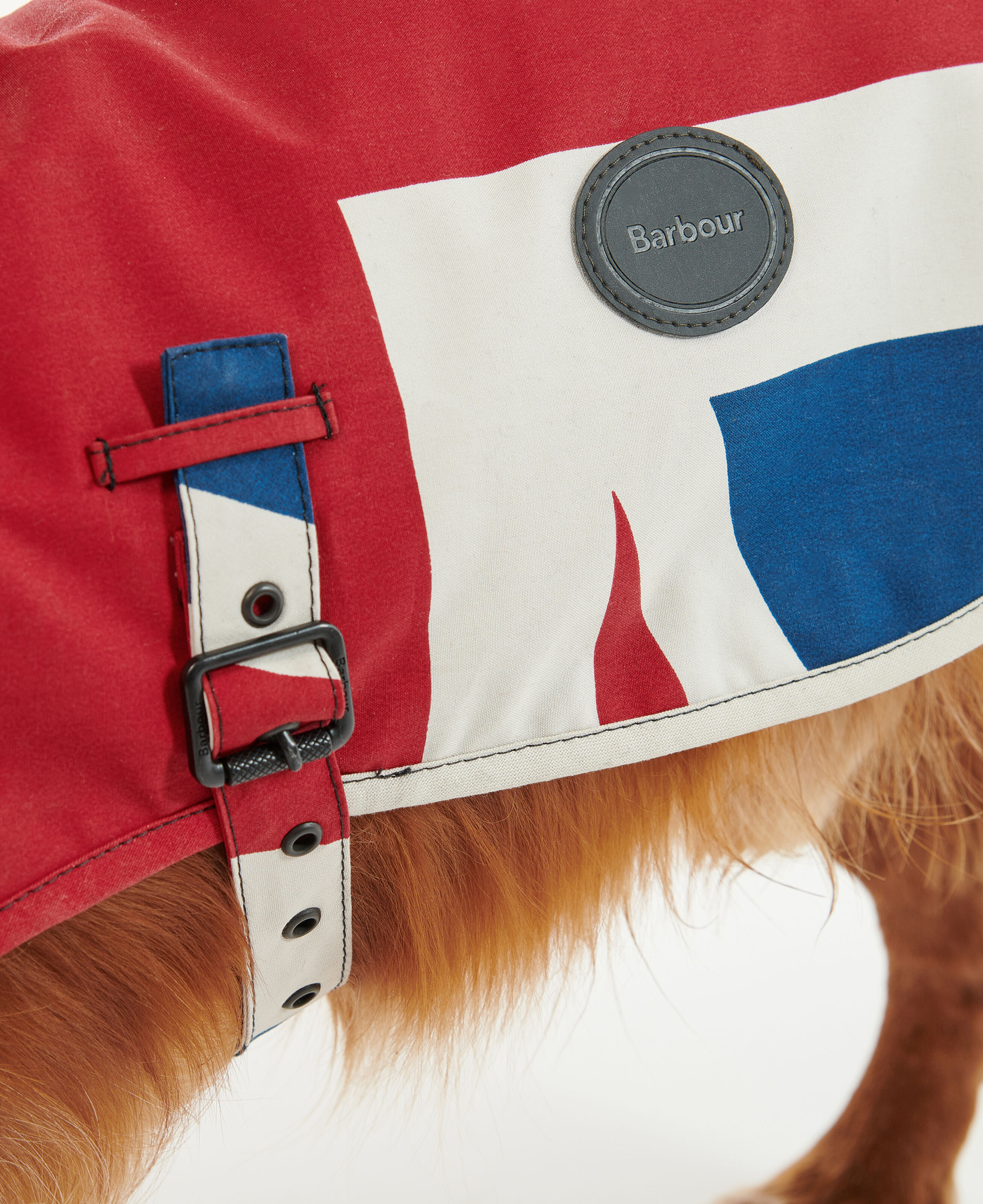 Union jack hotsell dog sweater