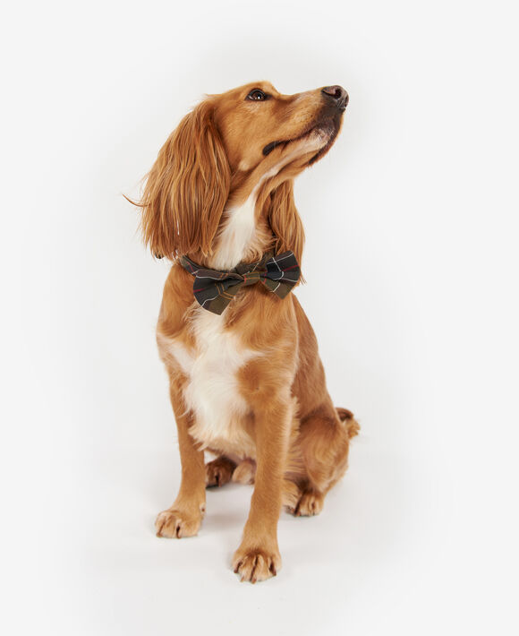 Barbour Dog Bow Tie: Classic