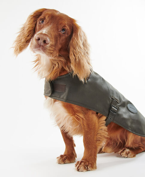Barbour Dog Accessories: Spring Style for your Four-Legged Friend!