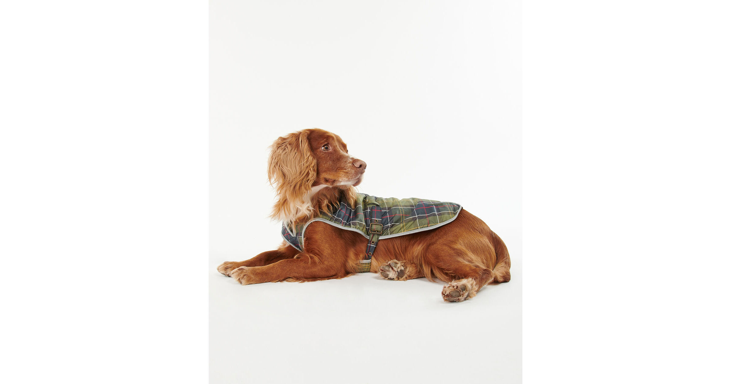 Barbour Waterproof Tartan Dog Coat Classic