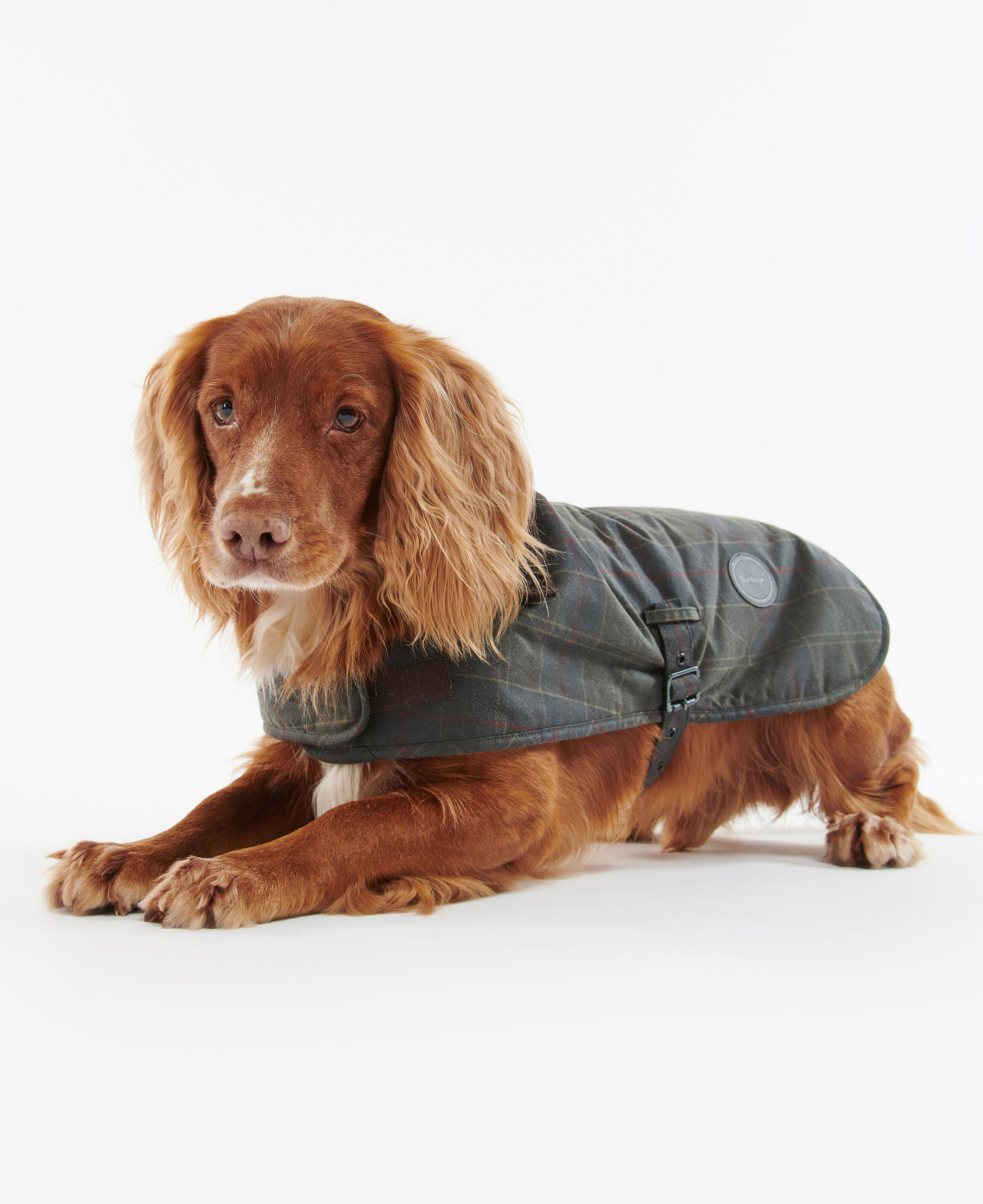 Barbour Tartan Wax Dog Coat: Olive