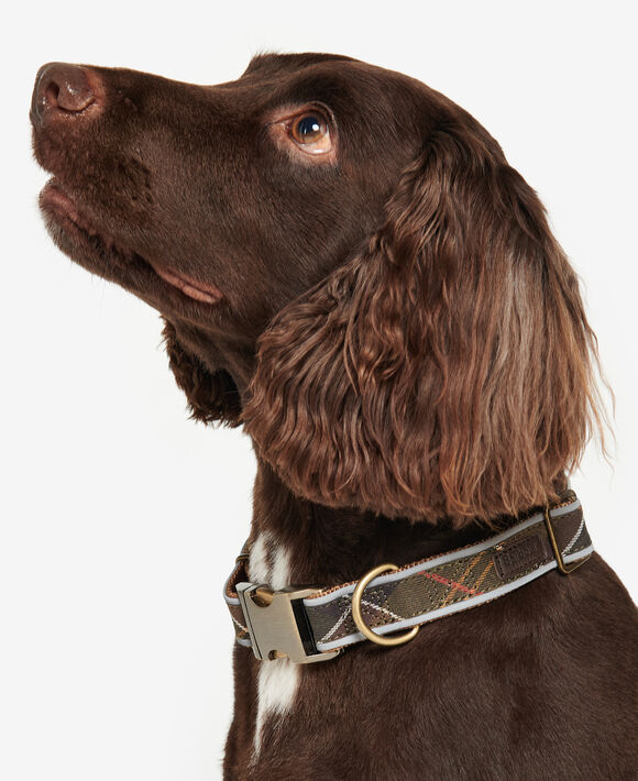Barbour Reflective Dog Collar: Classic Tartan