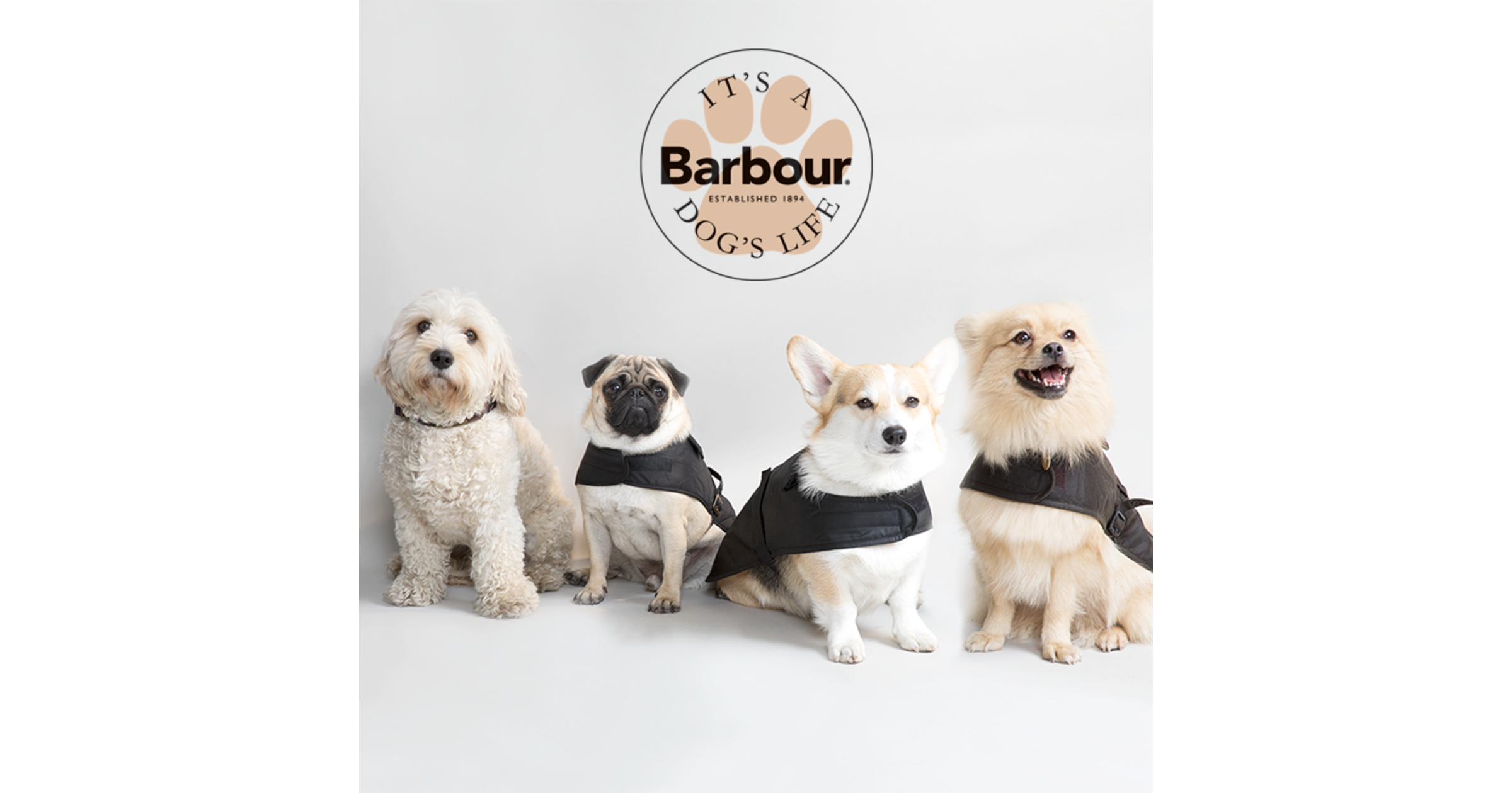 Barbour Dog Accessories