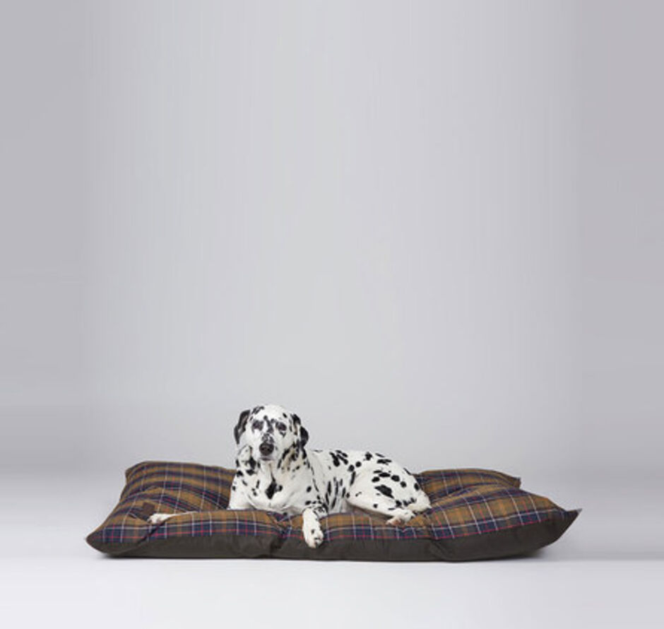 Barbour Wax/Cotton Dog Duvet Classic Olive